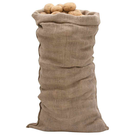 VidaXL Sacs de jute 30 pièces 220 g m² 65x135 cm 100% jute
