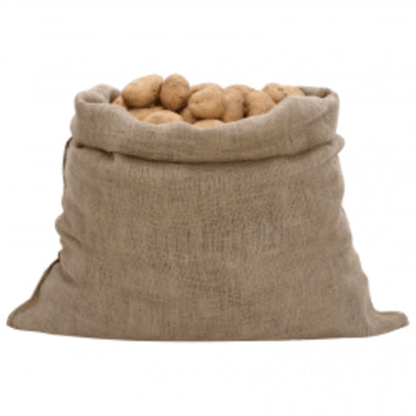 VidaXL Sacs de jute 30 pièces 220 g m² 100x110 cm 100% jute