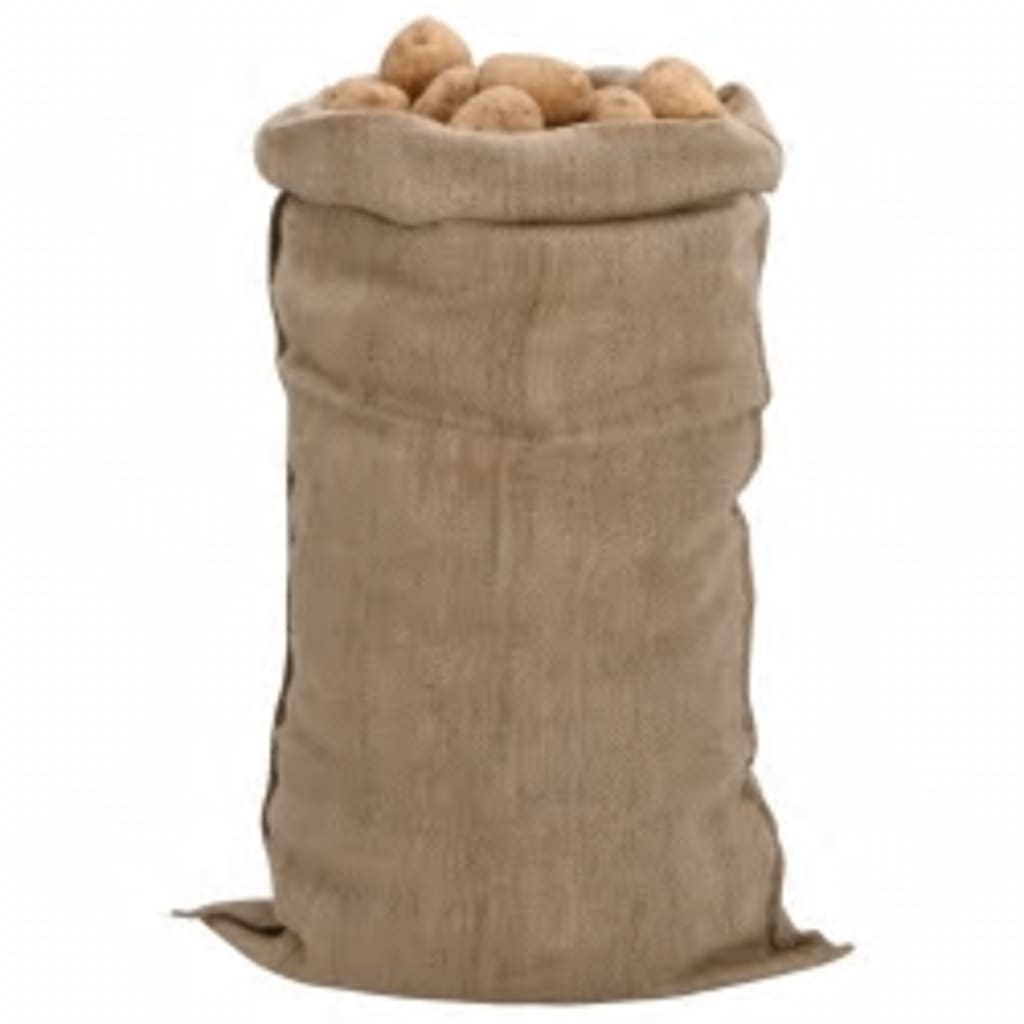 Sacs de jute Vidaxx 30 pièces 340 g m² 65x135 cm 100% jute