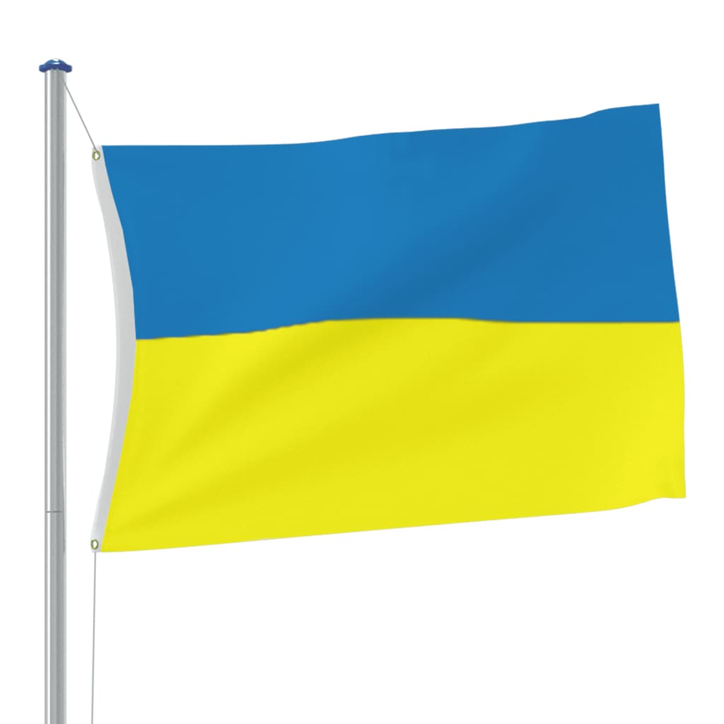 VidaXL drapeau Ukraine avec oeillets en laiton 90x150 cm