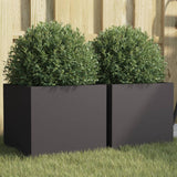Vidaxx jardinières 2 pcs 32x30x29 cm acier noir