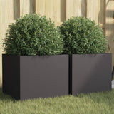 Vidaxl Planters 2 st 32x30x29 cm steel black