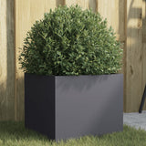 Vidaxx jardinière 32x30x29 cm acier anthracite