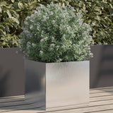 Vidaxx jardinière 32x30x29 cm acier inoxydable argenté