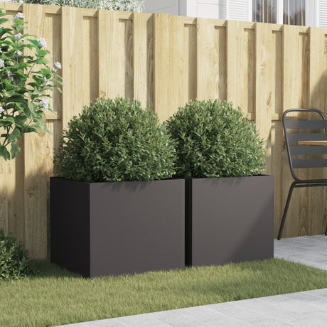 Vidaxx jardinières 2 pcs 49x47x46 cm acier noir