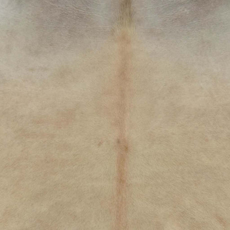 VidaXL tapis 180x220 cm véritable peau de vache beige