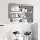 Armoire murale de cuisine Vidaxx avec étagères en acier inoxydable