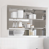 Armoire murale de cuisine Vidaxx avec étagères en acier inoxydable