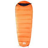 VidaXL sac de couchage momie pour adultes camping 3 saisons