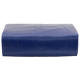 Bâche VidaXL 650 g m² 3x6 m bleu
