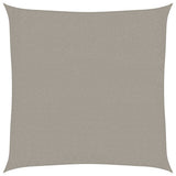 Vidaxl voile d'ombrage 160 g m² carré 2x2 m HDPE gris clair