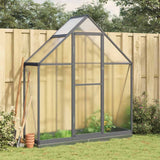 Vidaxx serre de jardin avec cadre de base 169x58x202 cm aluminium anthracite