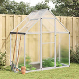 Vidaxxl serre de jardin avec cadre de base 169x114x195 cm aluminium argenté