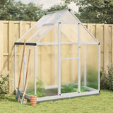 Vidaxxl serre de jardin avec cadre de base 169x114x202 cm aluminium argenté