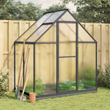 Vidaxx serre de jardin avec cadre de base 169x114x202 cm aluminium couleur anthracite