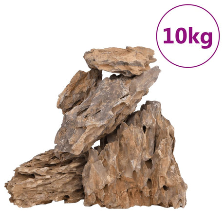 VidaXL pierres de dragon couleur mixte 10 kg 10-30 cm