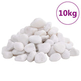Vidaxl galets polis 2-5 cm 10 kg blanc
