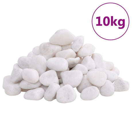 Vidaxl galets polis 2-5 cm 10 kg blanc