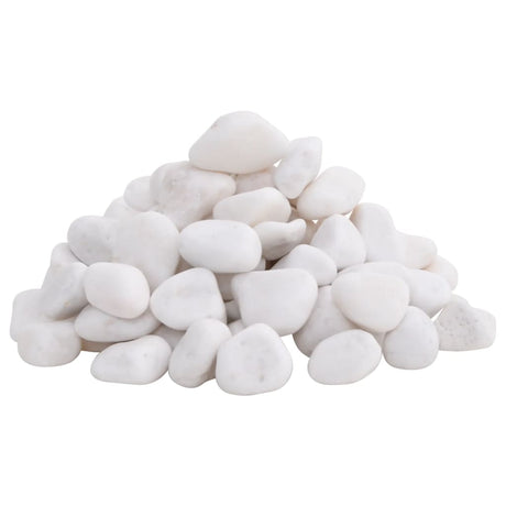 Vidaxl galets polis 2-5 cm 10 kg blanc