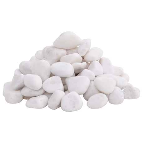 Vidaxl galets polis 2-5 cm 25 kg blanc
