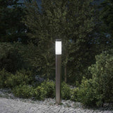 Vidaxx borne éclairante 80 cm inox IP44