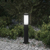 VidaXL borne d'éclairage 50 cm acier inoxydable IP44