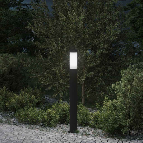 Vidaxx borne éclairante 80 cm inox IP44