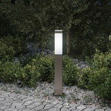 VidaXL borne d'éclairage 50 cm acier inoxydable IP44