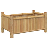 Vidaxx jardinière 50x30x25 cm bambou