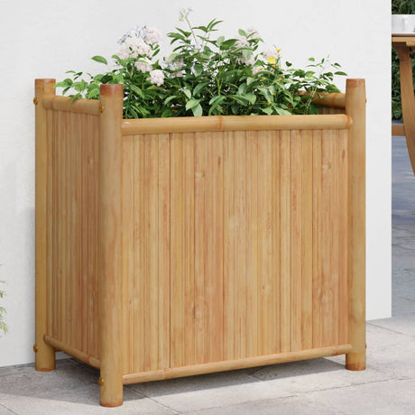 Vidaxx jardinière 50x30x50 cm bambou