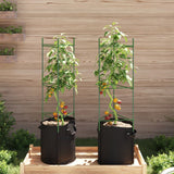 Vidaxl cage à tomates avec sac à plantes 2 pcs 116 cm acier et polypropylène