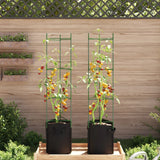 Vidaxl cage à tomates avec sac à plantes 2 pcs 154 cm acier et polypropylène