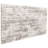 VidaXL panneaux muraux 10 pcs 3d 100x50 cm eps gris clair