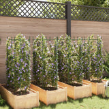 VidaXL Cages à tomates 8 pcs 116 cm acier et polypropylène