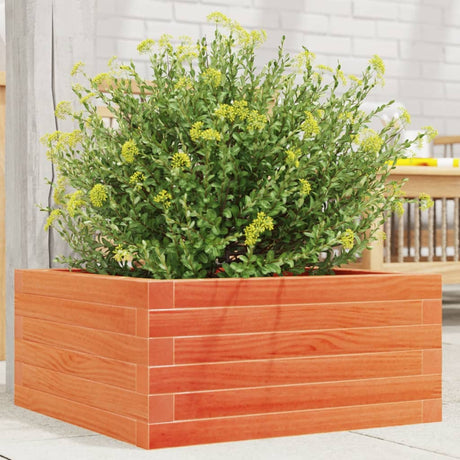 Vidaxx jardinière 50x50x23 cm bois de pin massif, marron lavé