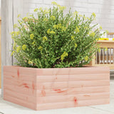Jardinière Vidaxx 50x50x23 cm bois de Douglas massif