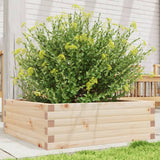 Vidaxx jardinière 70x70x23 cm bois de pin massif
