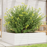 Vidaxx jardinière 80x80x23 cm bois de pin massif blanc