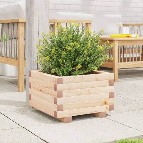 Jardinière Vidaxx 40x40x26,5 cm bois de pin massif