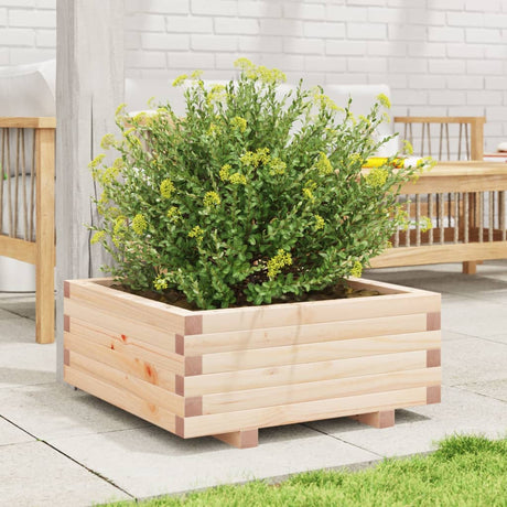 Jardinière Vidaxx 60x60x26,5 cm bois de pin massif