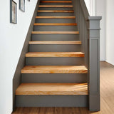 Vidaxx marches d'escalier 4 pcs 80x30x2 cm chêne massif marron clair