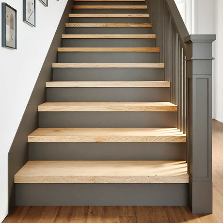 Vidaxx marches d'escalier 2 pcs 100x30x2 cm chêne massif non traité