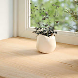 VidaXL Appui de fenêtre 2 pcs non traité 110x15x2 cm chêne massif