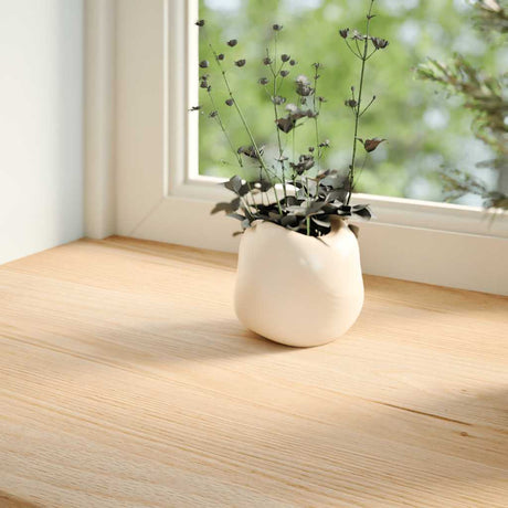 Vidaxx appuis de fenêtre 2 pcs non traité 160x25x2 cm chêne massif