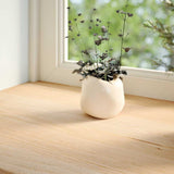 Vidaxl Window Sills 2 ST non traité 120x30x2 cm Chêne solide