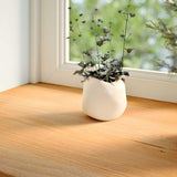 Vidaxl -fönsterbrädor 2 St 80x20x2 cm Solid Oak Light Brown