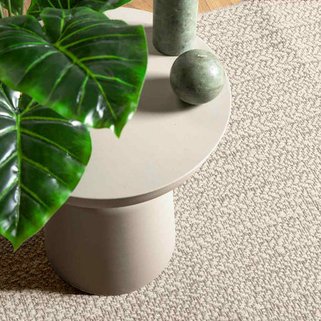 VidaXL tapis zizur crème intérieur et extérieur 80x200 cm aspect jute