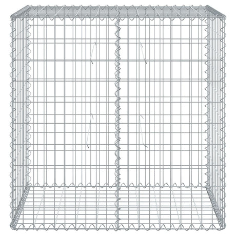Gabion Vidaxx 100x50x100 cm fer galvanisé couleur argent
