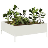 Vidaxx jardinière surélevée 100x100x25 cm acier blanc