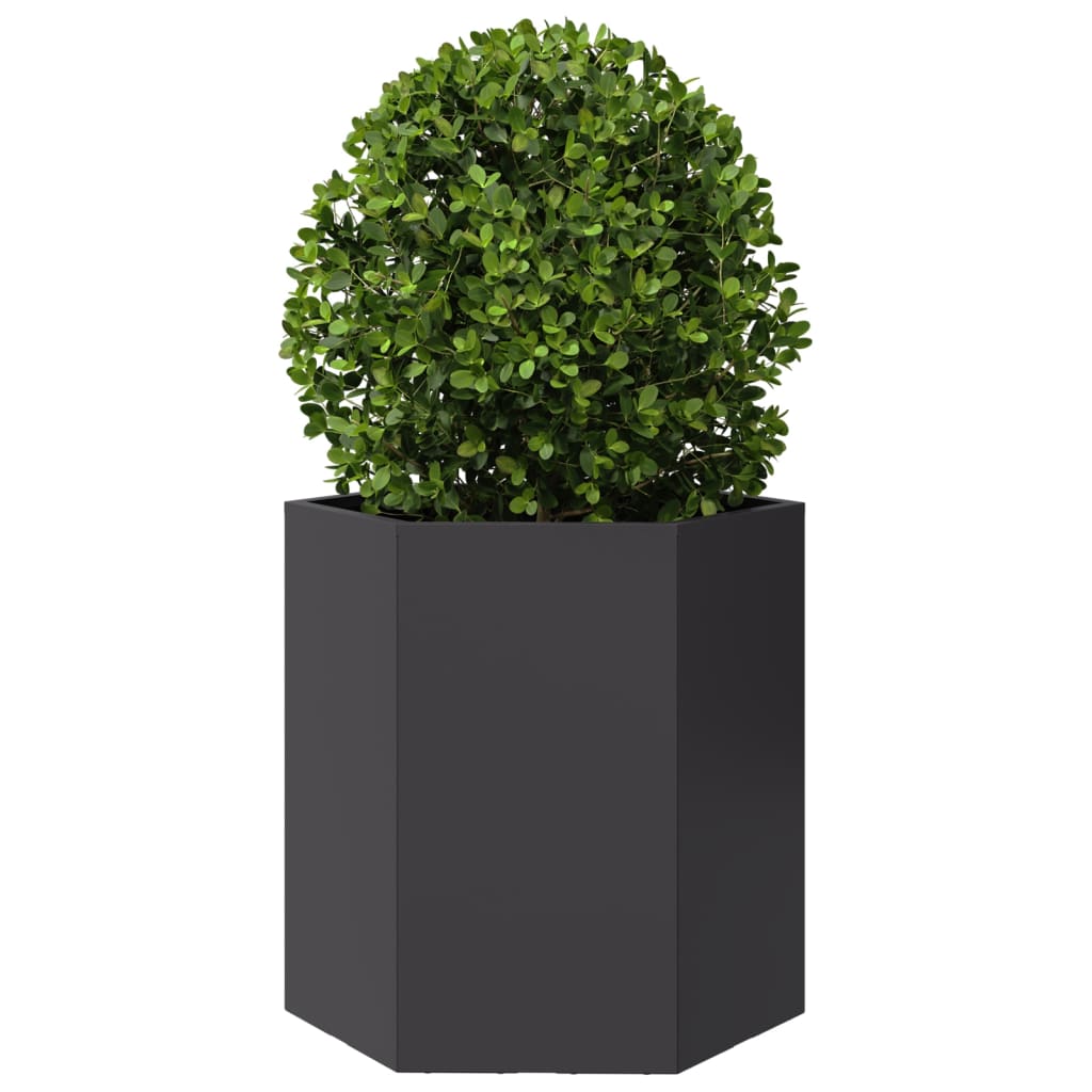 Vidaxx jardinière hexagone 46x40x45 cm acier noir